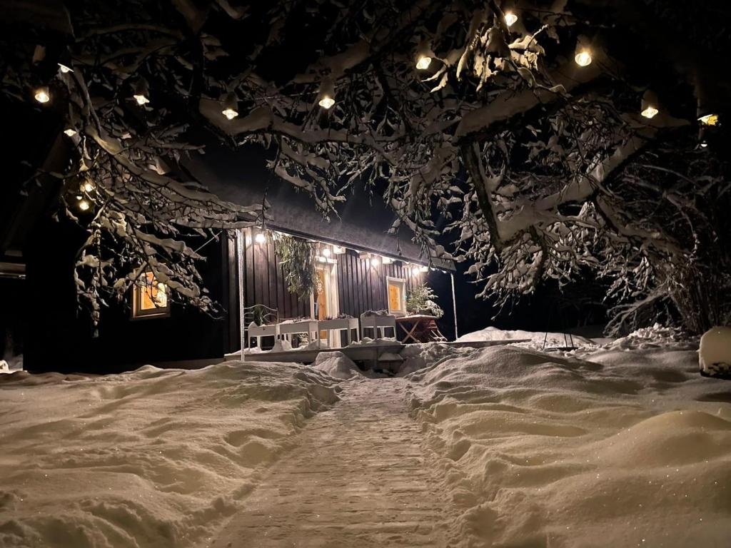 Čapu Liepu sauna photo 1