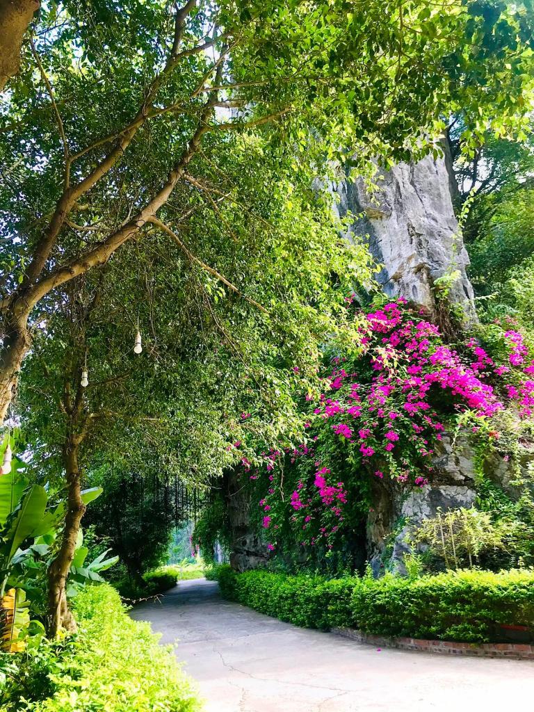 Tam Coc Nature