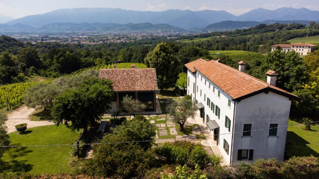 GATTO IN VIGNA photo 1