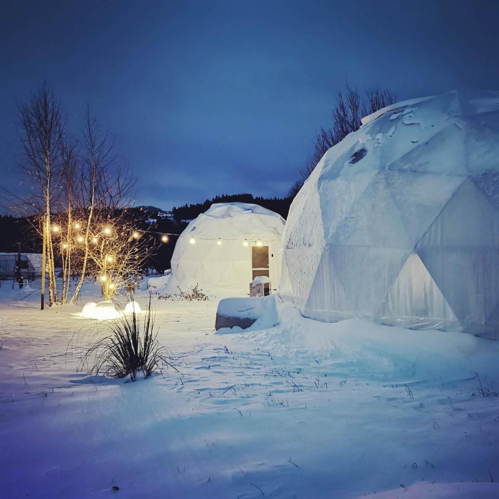 Czorsztyn Glamp photo 1