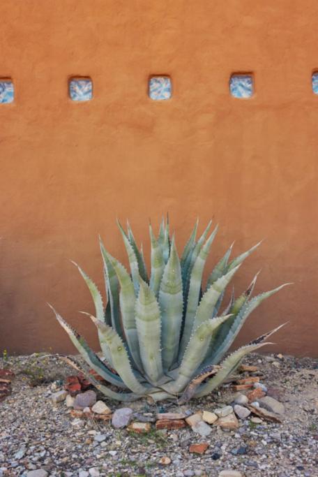 Desert Pearl ⁠— Quick Drive from Big Bend photo 1