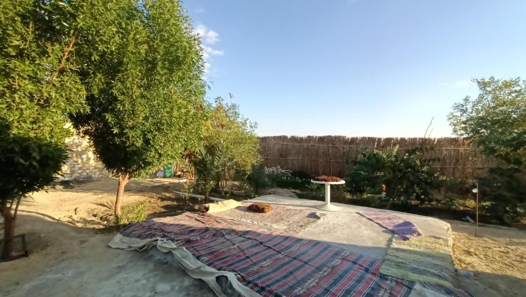 Bahi Aldeen Camp photo 2