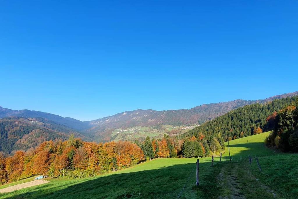 House Pucnk-beautiful countryside photo 4