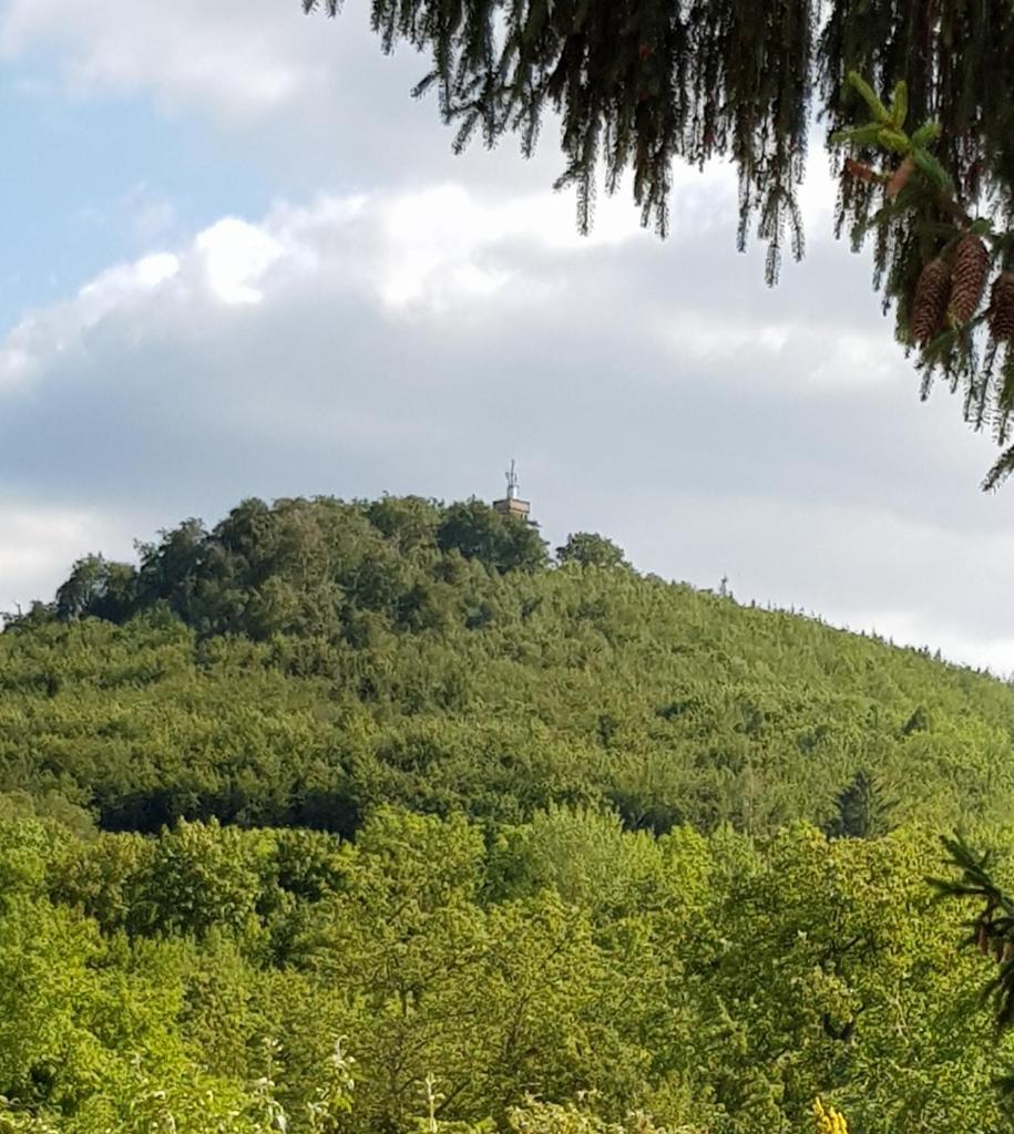 Ferienhaus "Am Staufenberg" photo 1