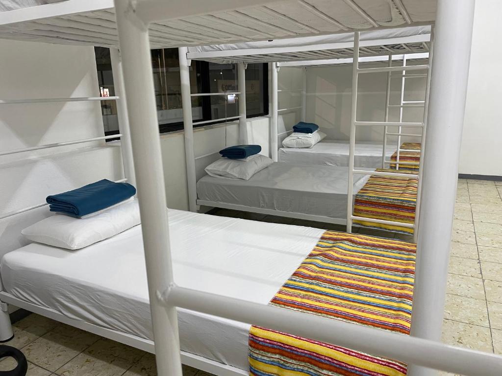 Vive Alegria Hostel photo 1