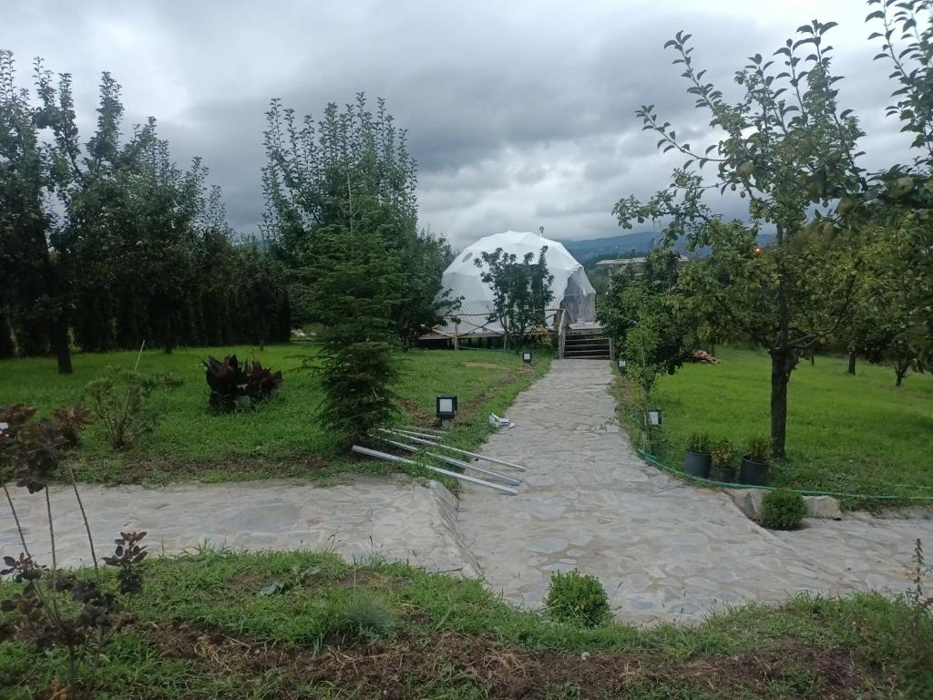 Sapanca Green Dome photo 4