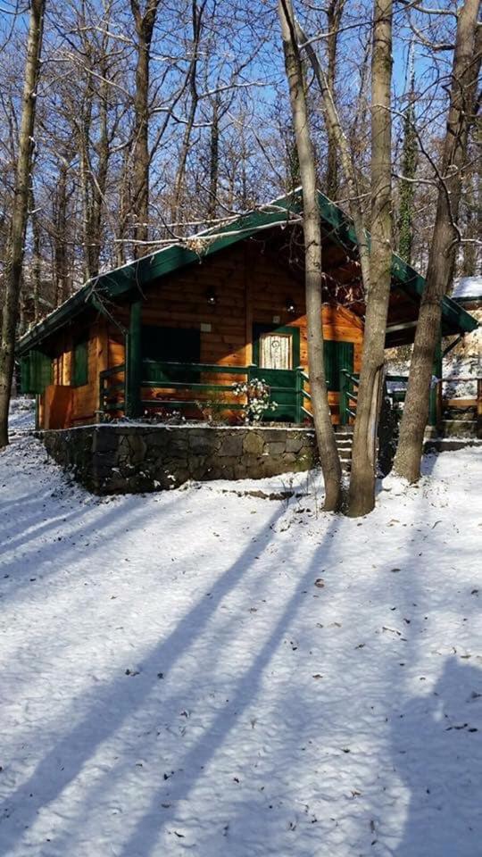 CHALET ETNA MILO photo 4