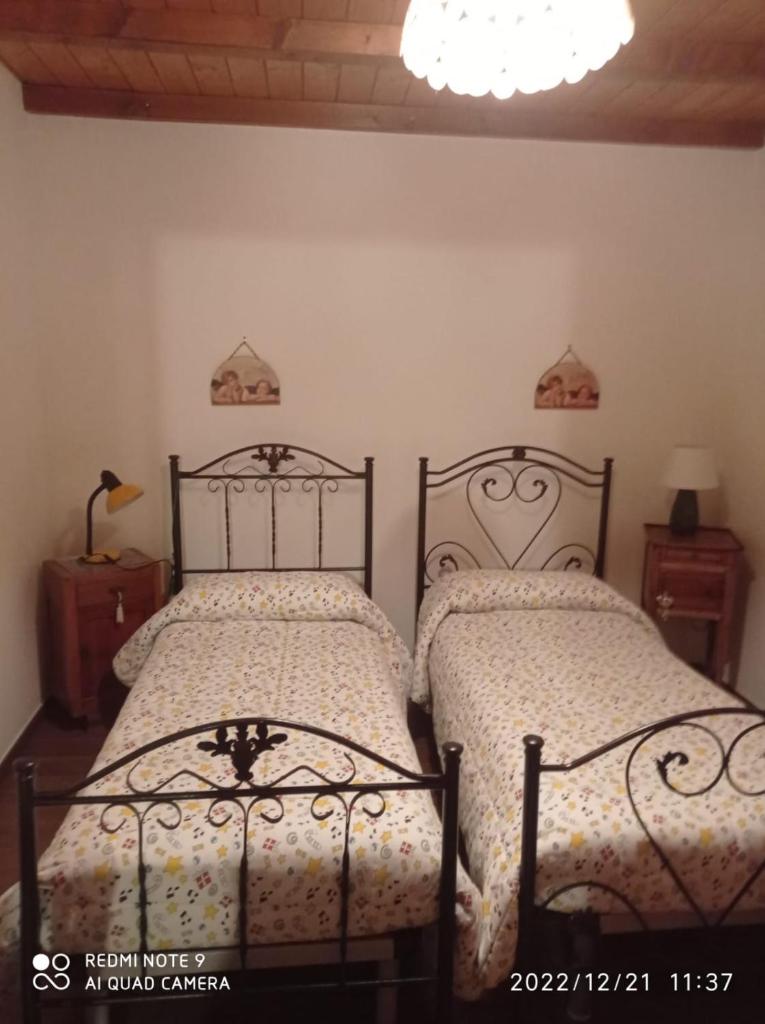 Chalet immerso nel Bosco photo 2