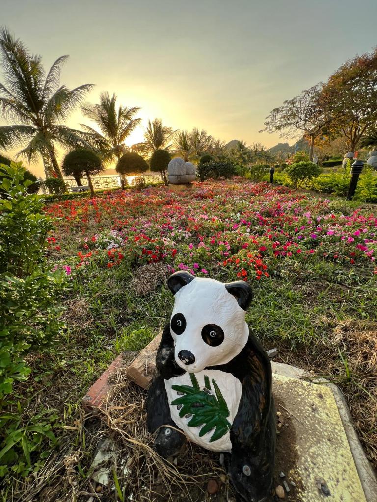 Cat Ba Bay Vision Hotel