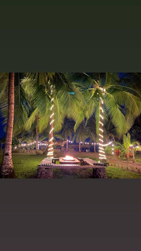 Show Pony Beach Resort and Suites photo 4