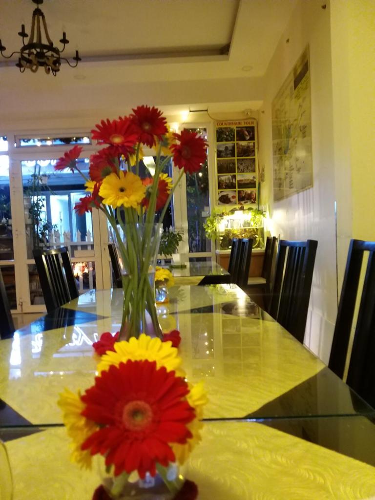 Pretty Backpackers House