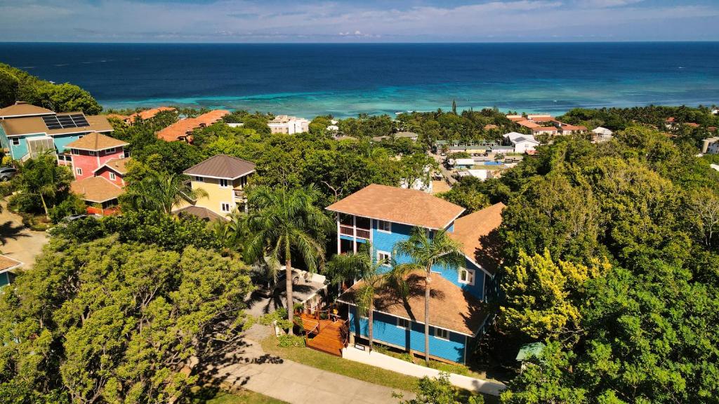 Casa Buena Vida photo 1