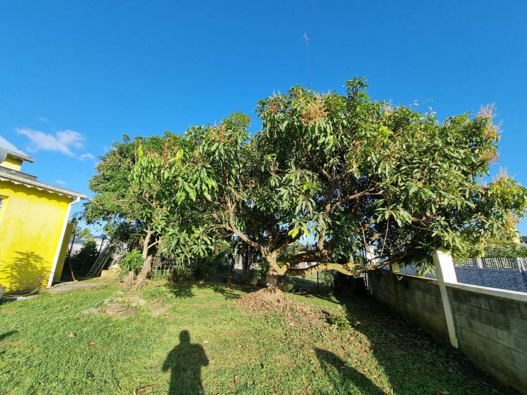 Villa Caraïbes photo 4