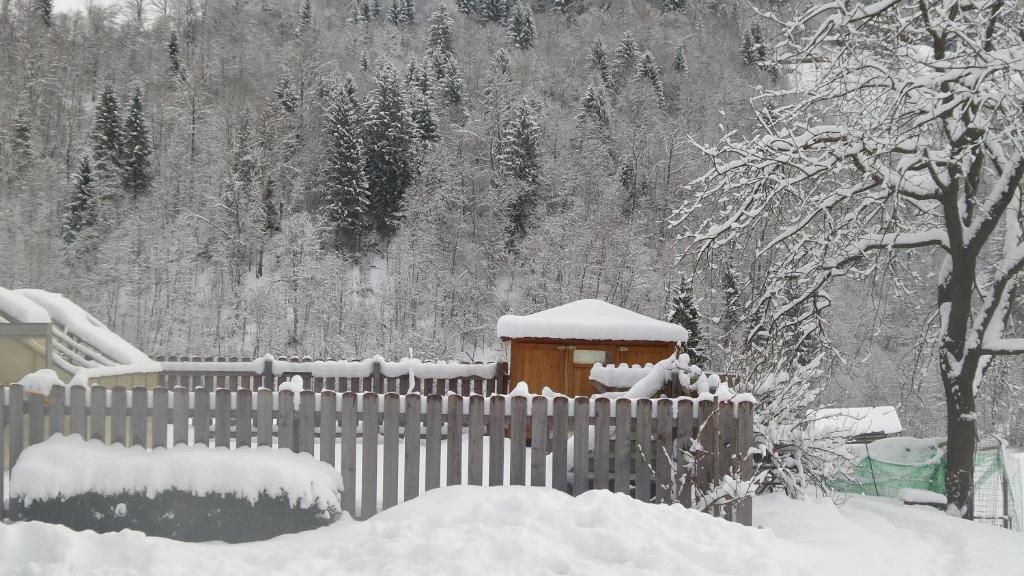 Pension Schwaighof photo 1