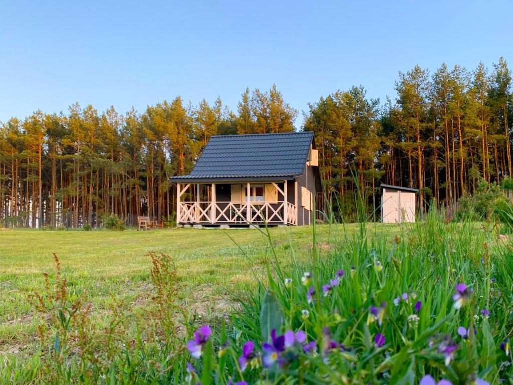 Prosportówek - Bronków - Domek nad Jeziorem w Otoczeniu Pięknych Lasów photo 4