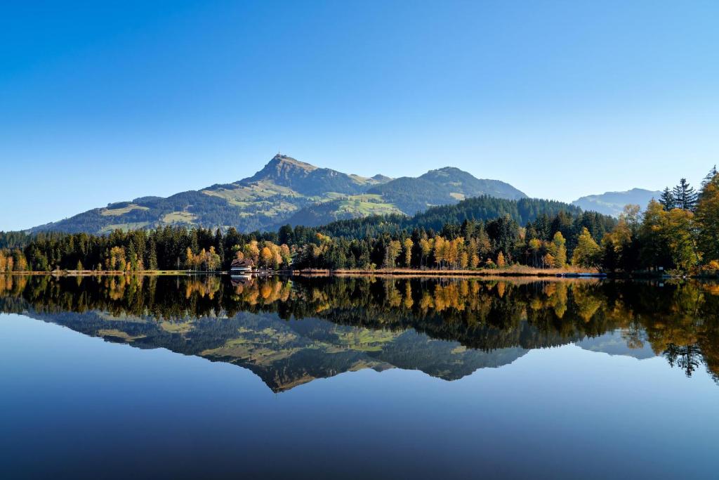 Marie Luise, Landhaus photo 4