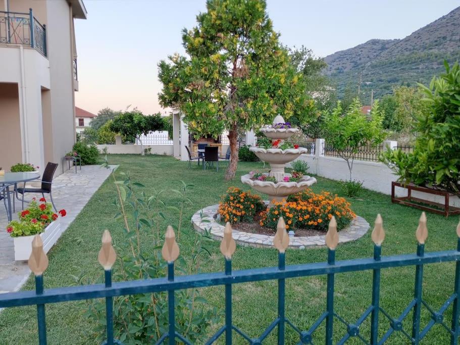ΔΙΑΜΈΡΙΣΜΑ ΜΕΝΤΗΣ photo 1