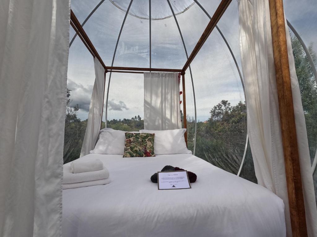 Glamping Ancestros Ecoparque photo 2