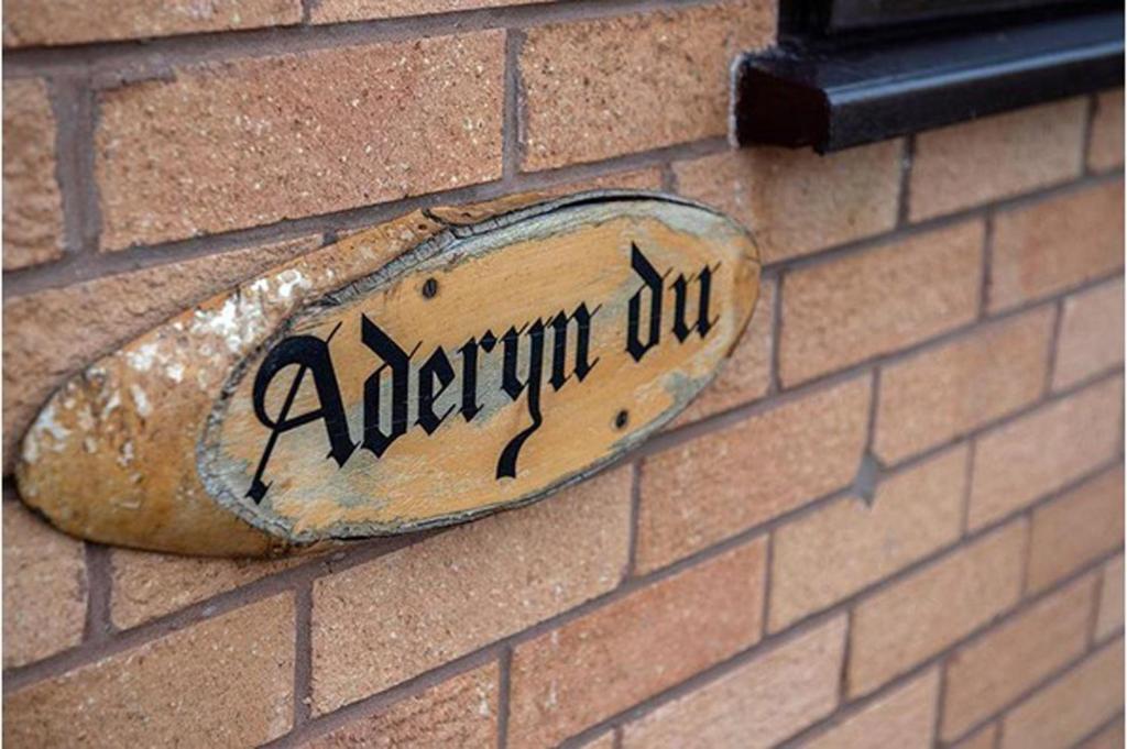 Aderyn Du photo 1