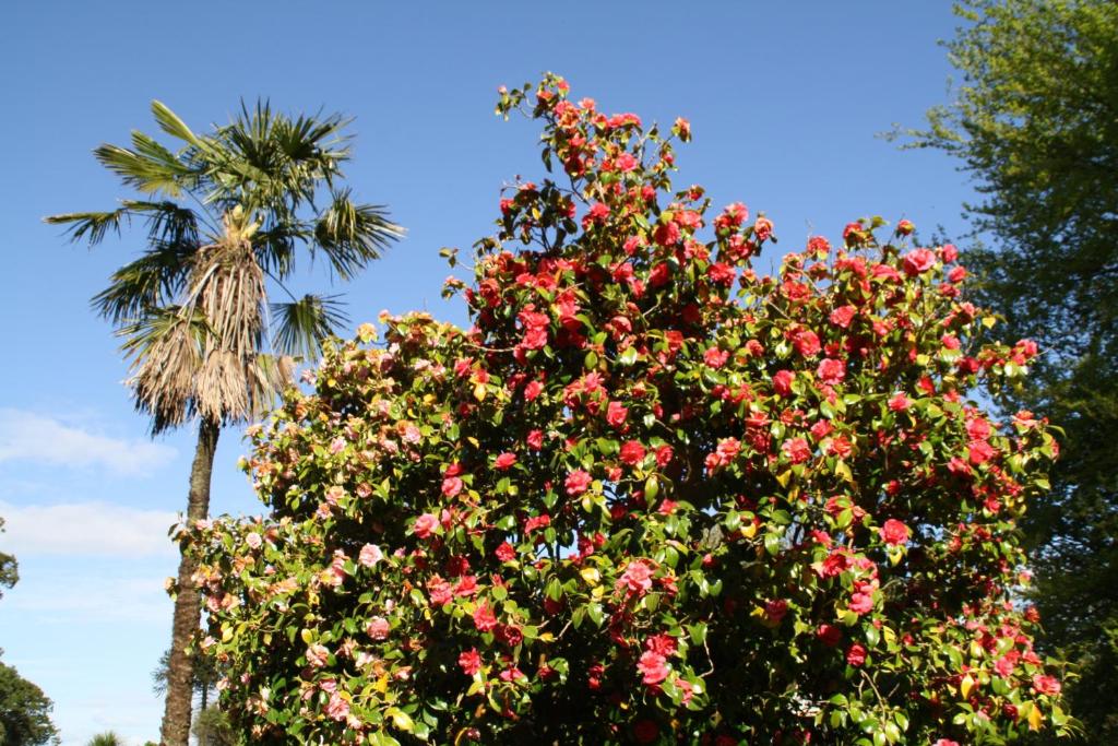Maranatha Country House photo 3