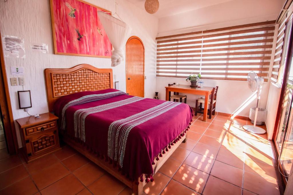 Hotel boutique Teocalli photo 2
