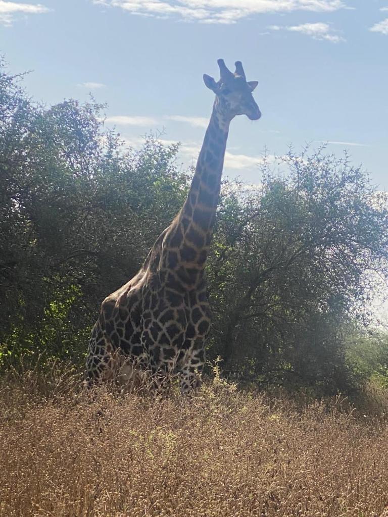 Auberge Africa Thiossane photo 2