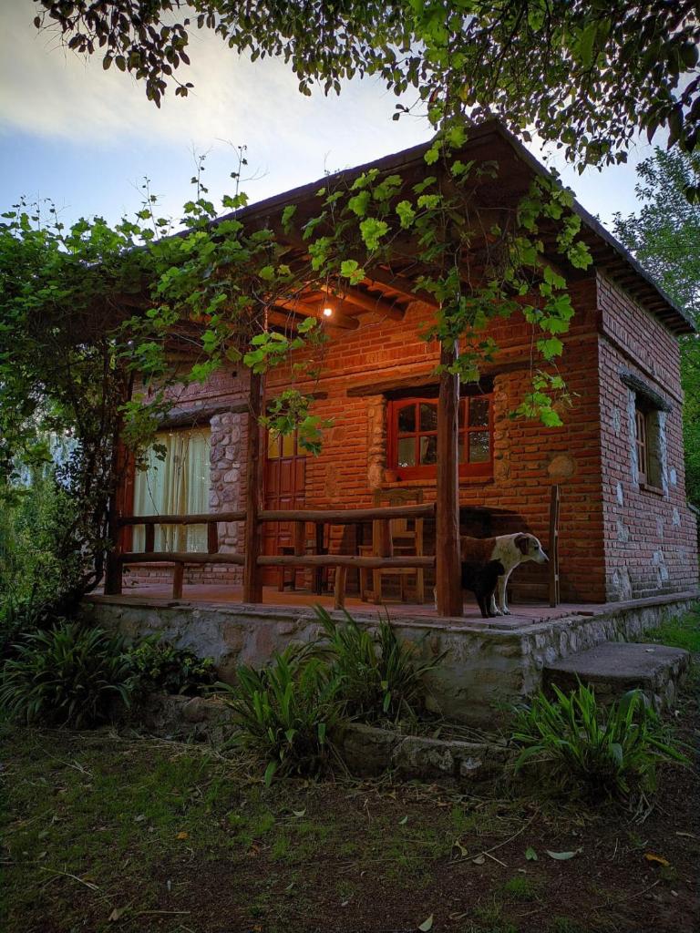 Chalet de montaña cerca de Nono photo 1