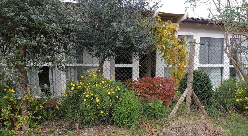 La Casa di Tara B&B Armonia e Natura photo 2