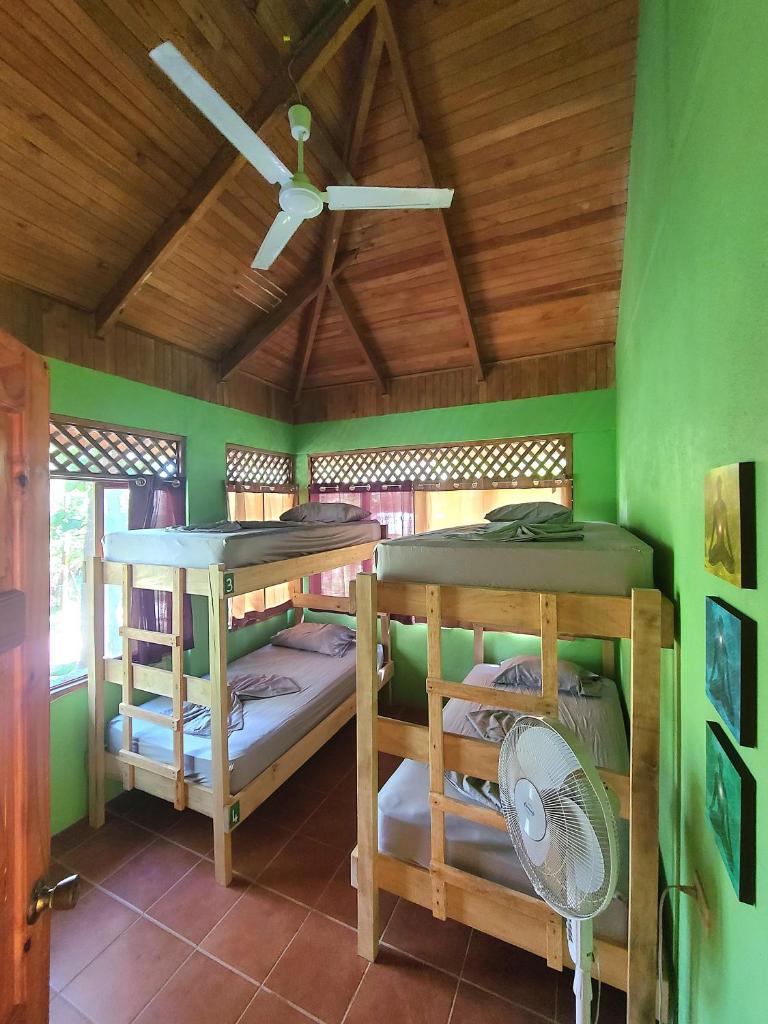 Casa Terra photo 1