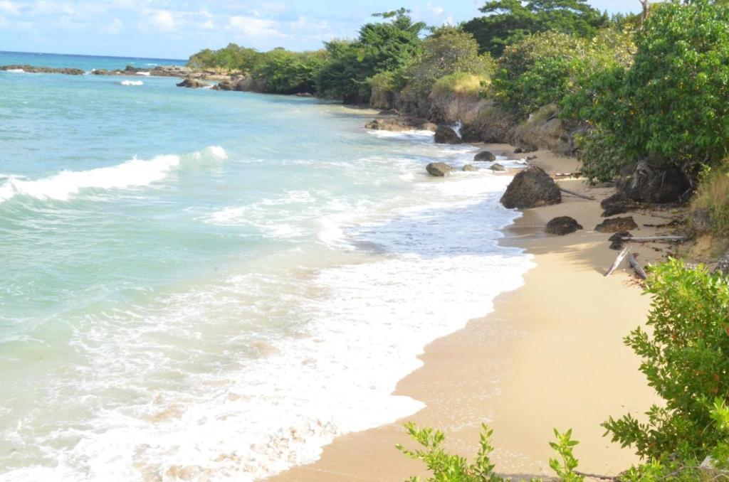 Jamaica Tranquility photo 4