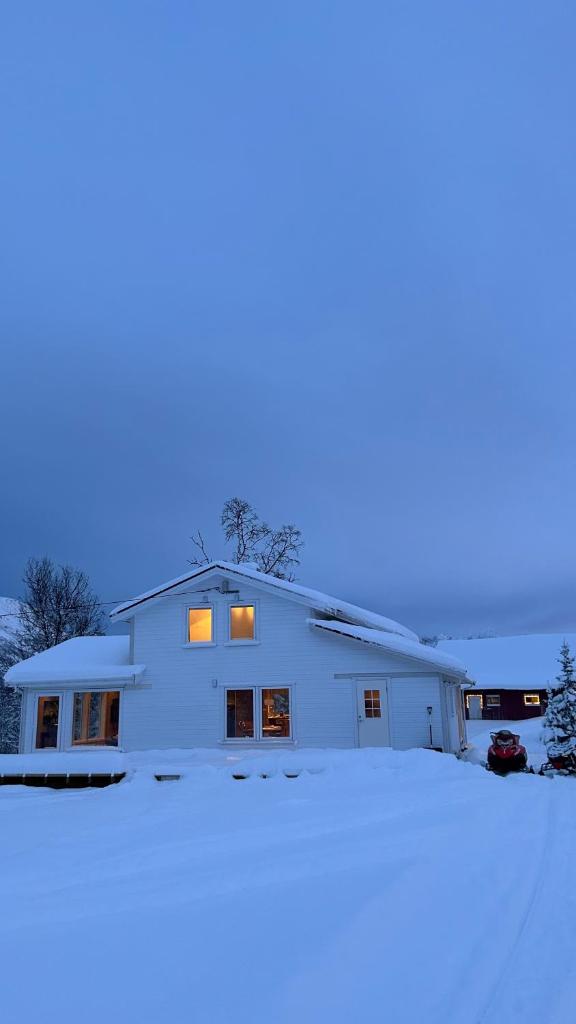 Mountainside Lodge - Breivikeidet photo 3