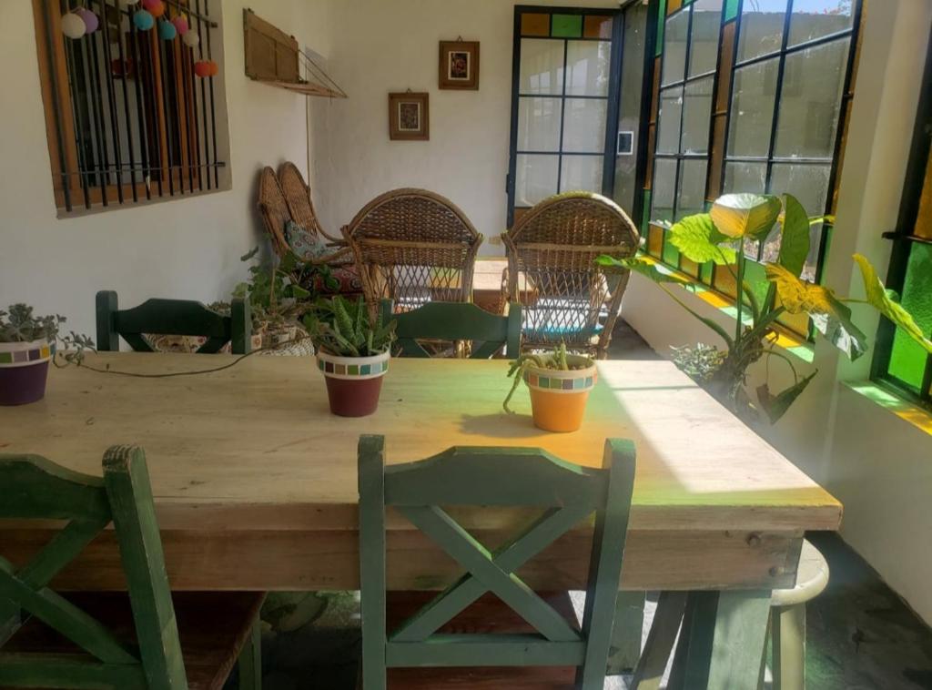 Única photo 3