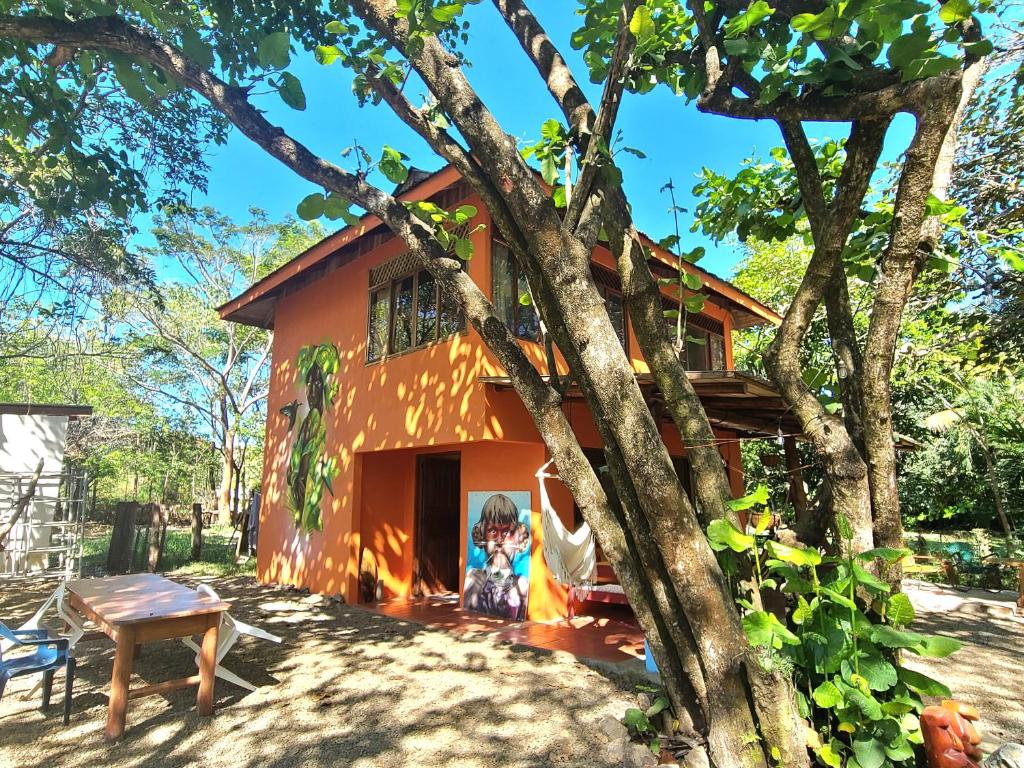 Casa Terra photo 3