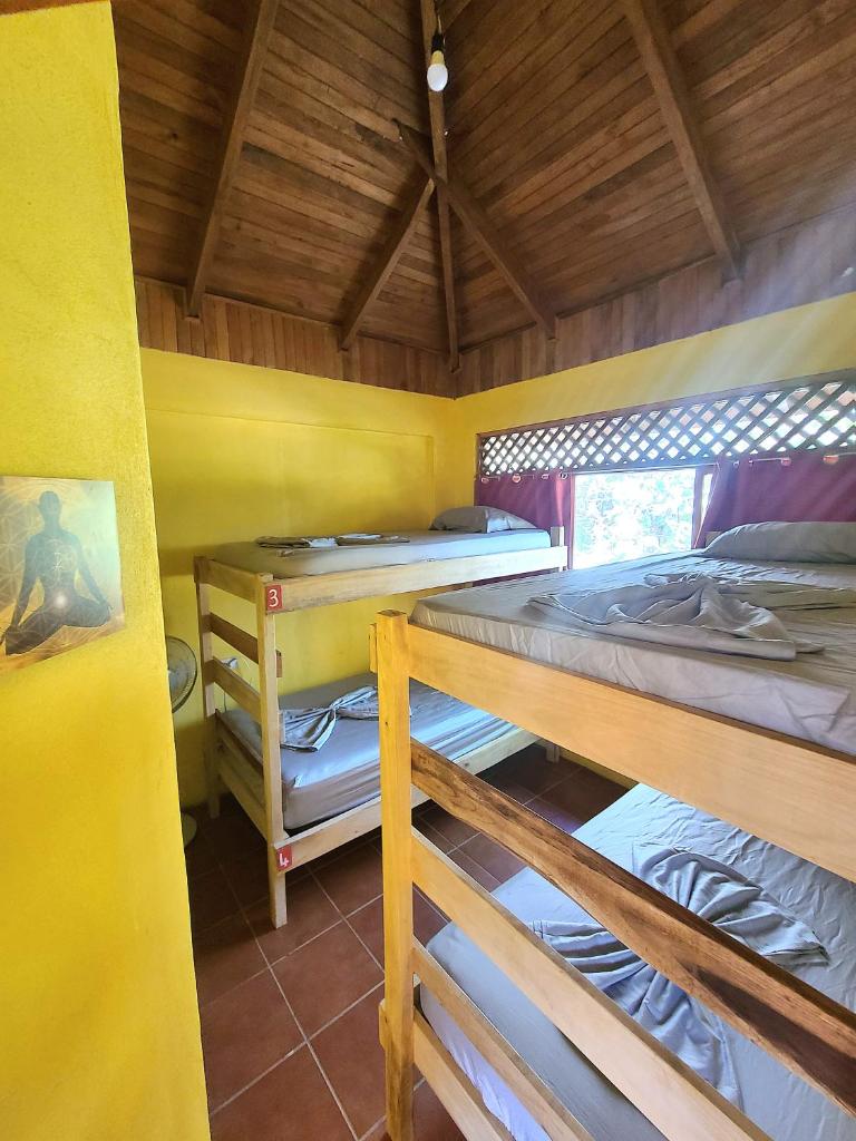 Casa Terra photo 4