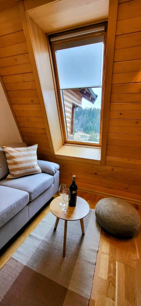 Apartment 533 at Aparthotel Vucko Jahorina