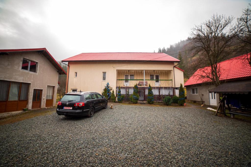 Casa Cosmina Arieseni photo 3