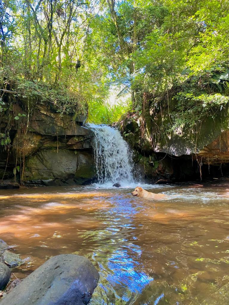 Canto das Águas photo 1