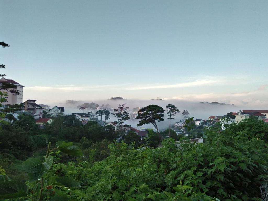 Nhà của Sóc