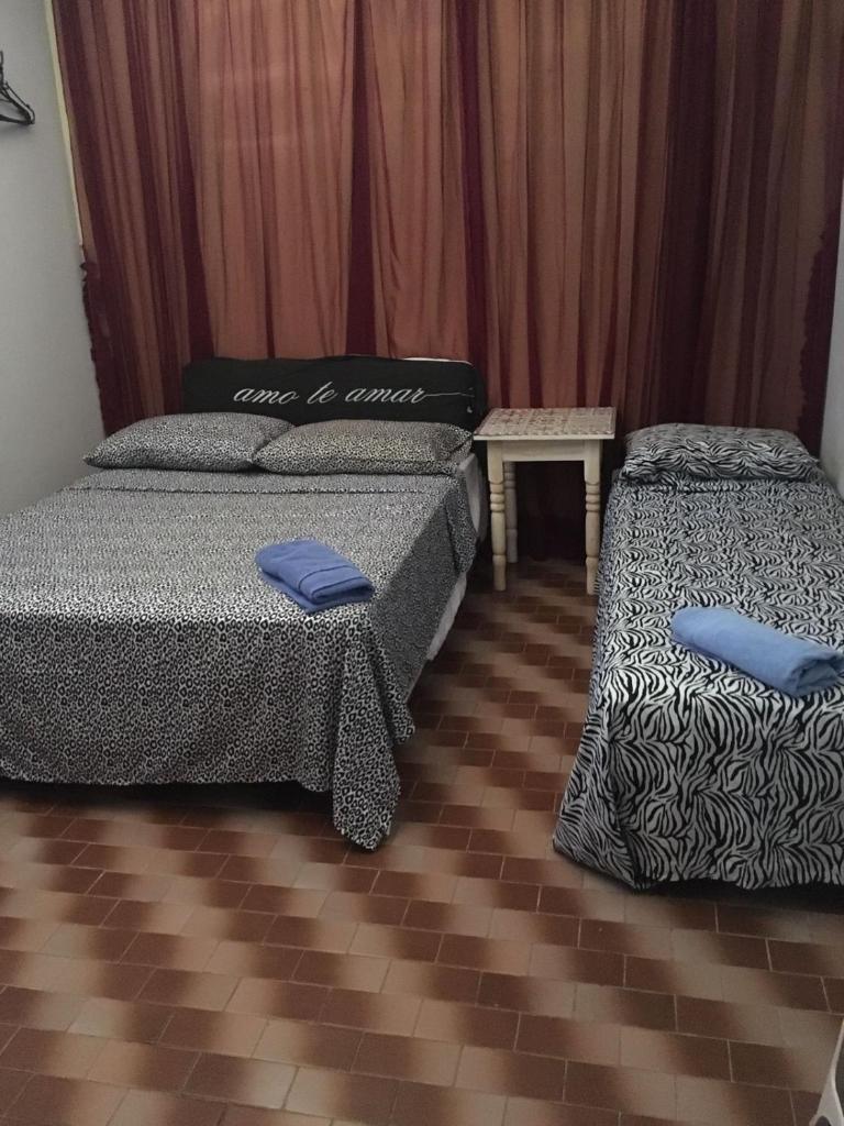 Casa de praia para sonhar photo 1