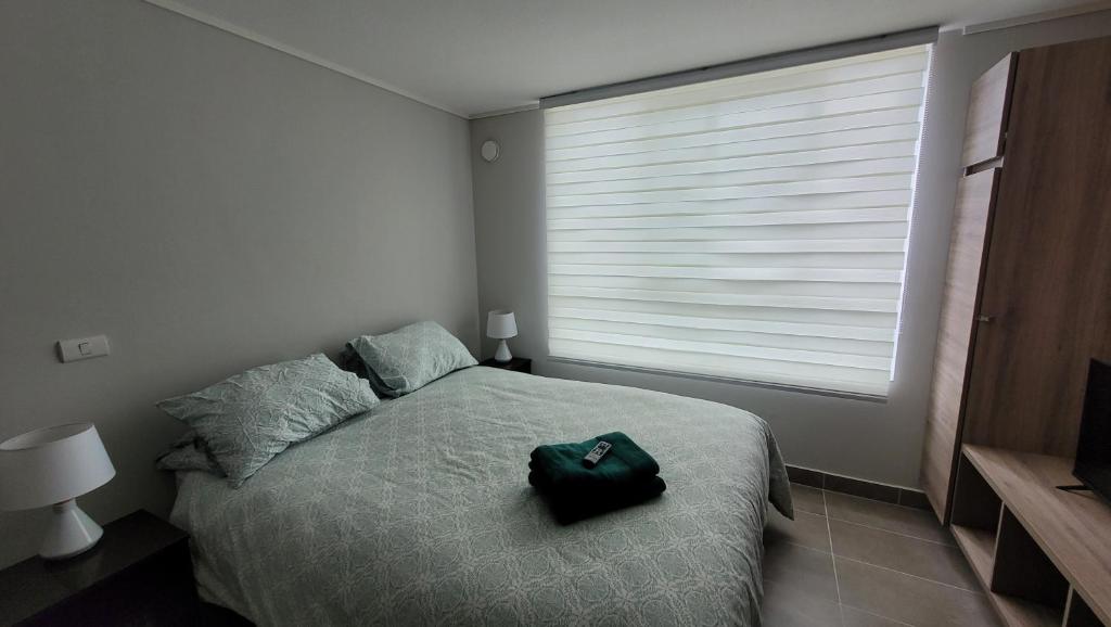 Departamento céntrico Temuco photo 3