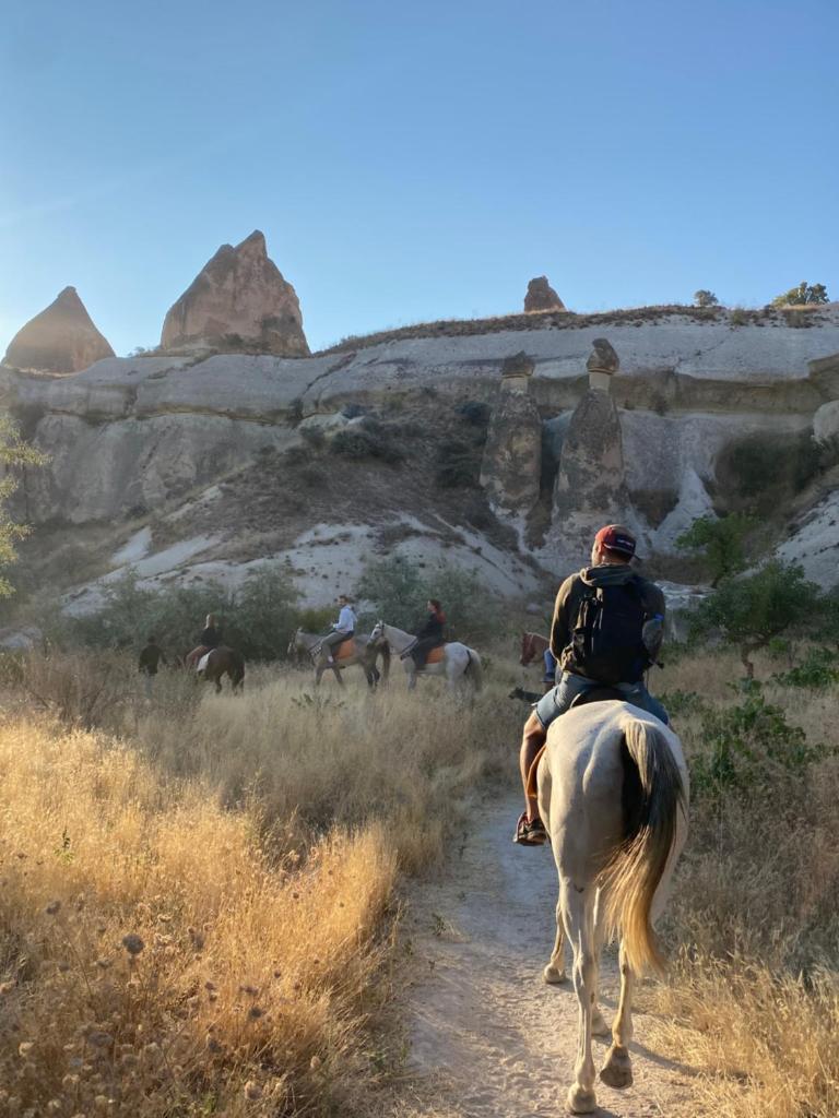 Avanos horse ranch photo 1