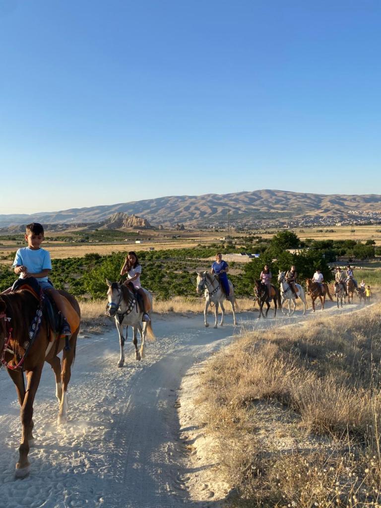 Avanos horse ranch photo 2