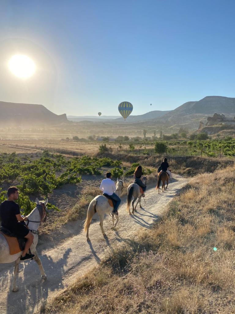 Avanos horse ranch photo 4