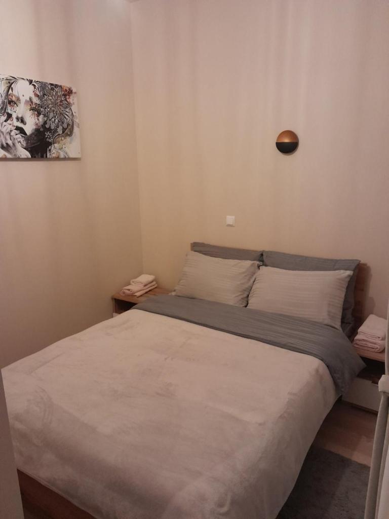 Gray Apartament 2 Pristina photo 3