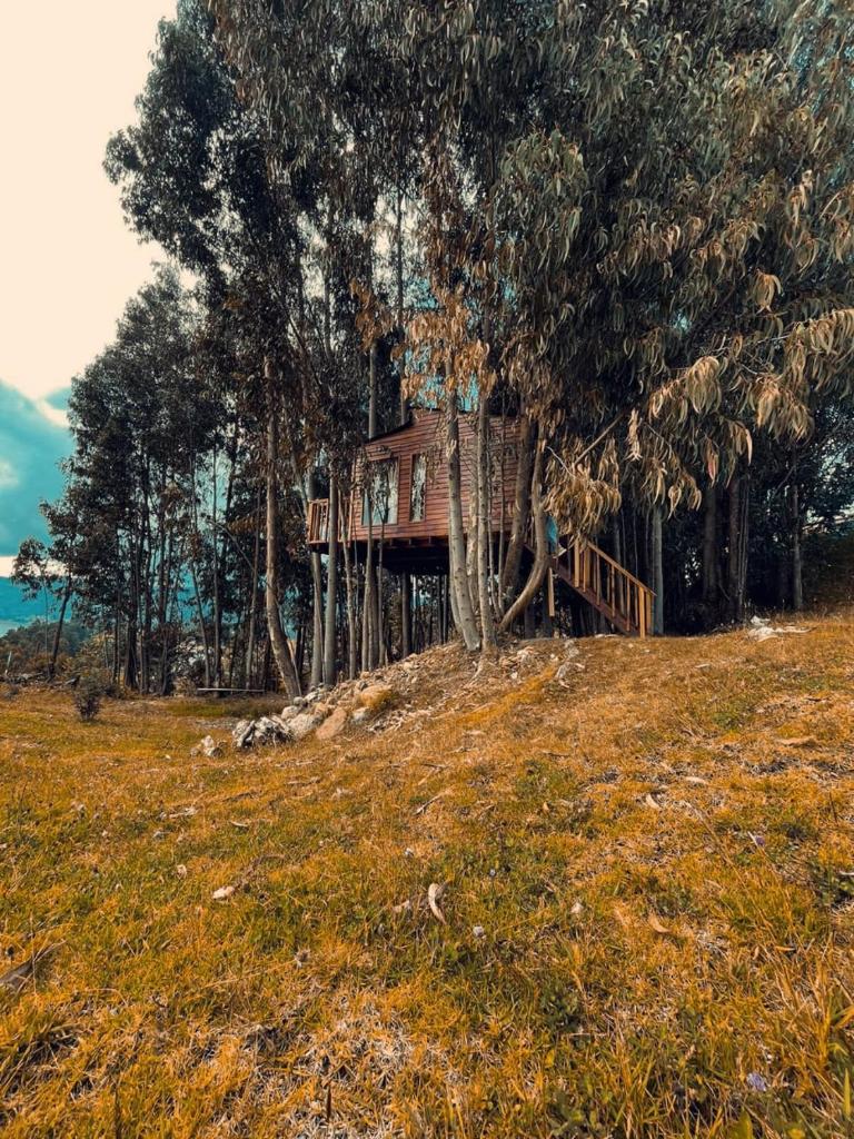 Casa en el Árbol Guatavita photo 4