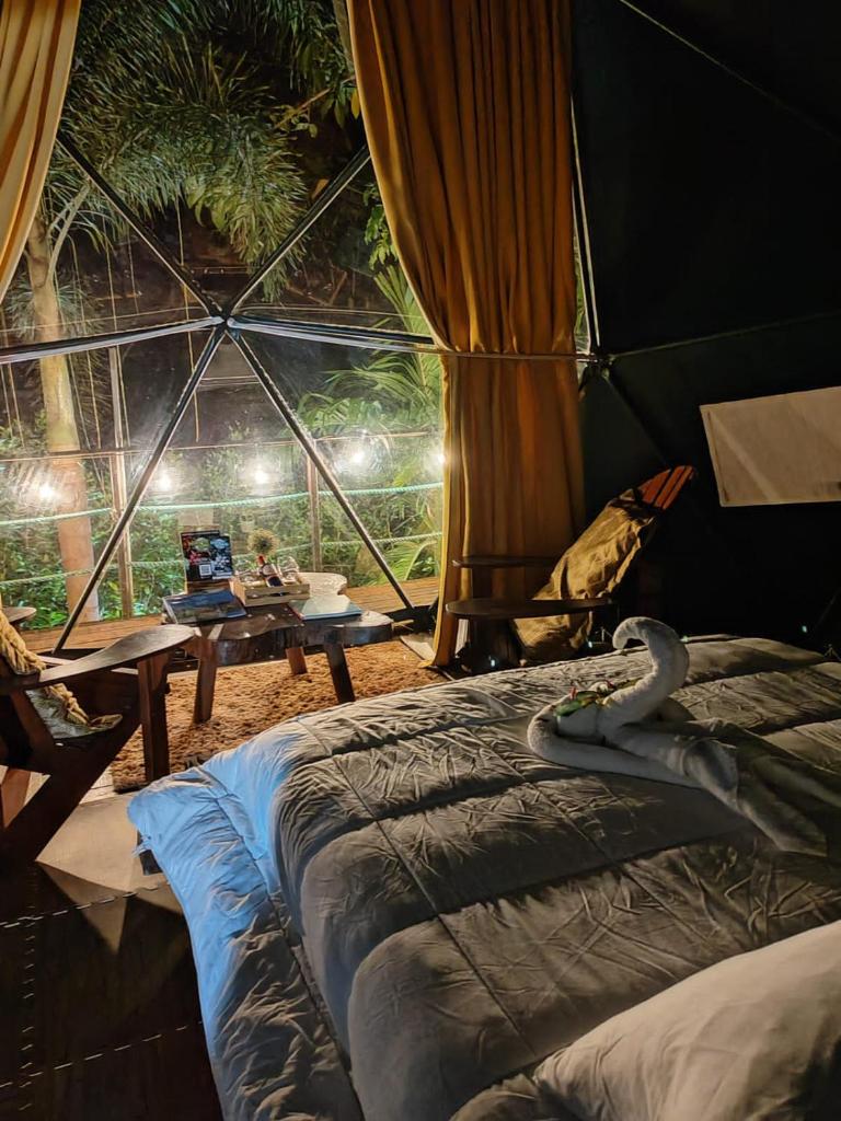 Momotus Glamping photo 1