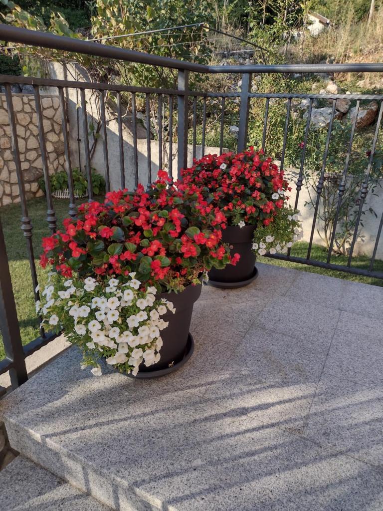 Apartman "Anna" photo 1