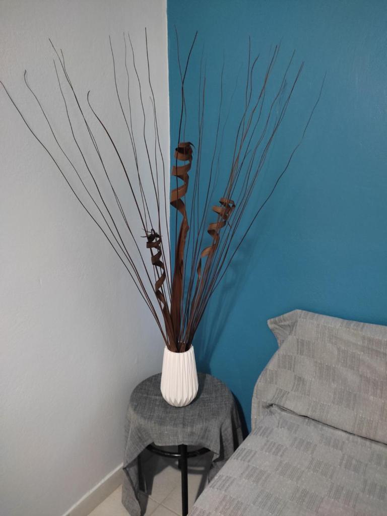 Su Casa Apartments photo 4
