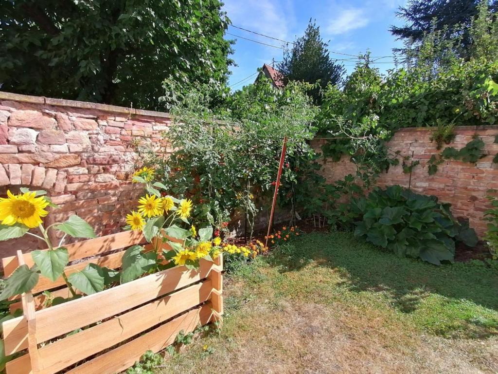 Maison Kobold XVIè siècle photo 4
