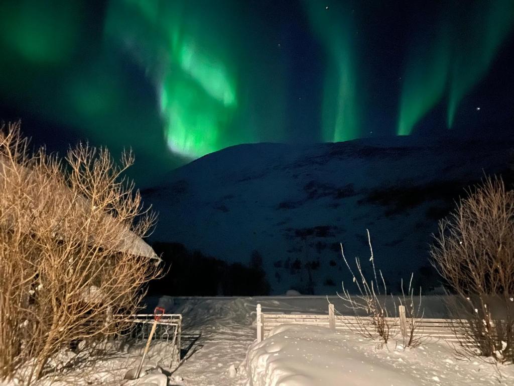 Aurora exotic cabin photo 1